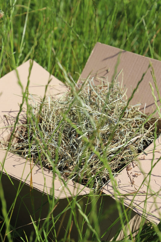 Foin de prairies - Savoureux, naturel, récolté en Provence