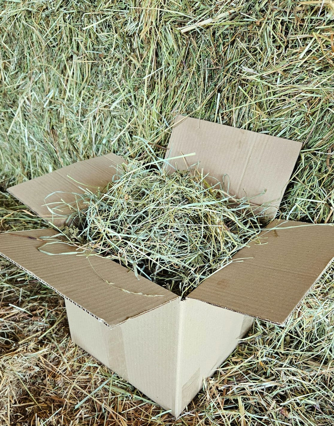 Foin de prairies - Savoureux, naturel, récolté en Provence