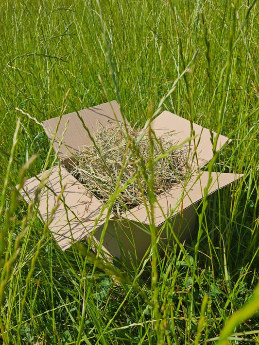 Foin de Crau AOP - Qualité premium, frais, riche et naturel.