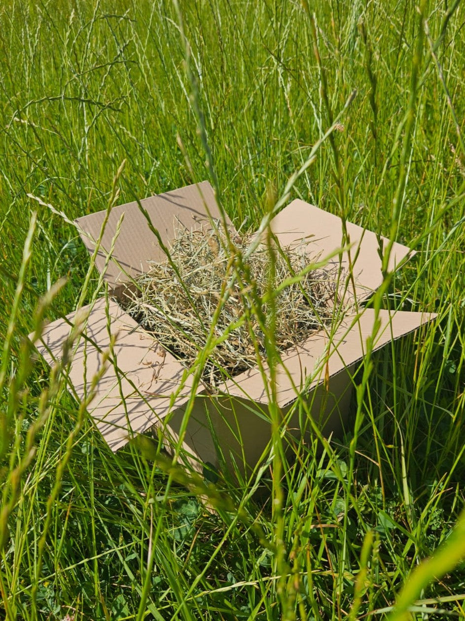 Foin de Crau AOP - Qualité premium, frais, riche et naturel.