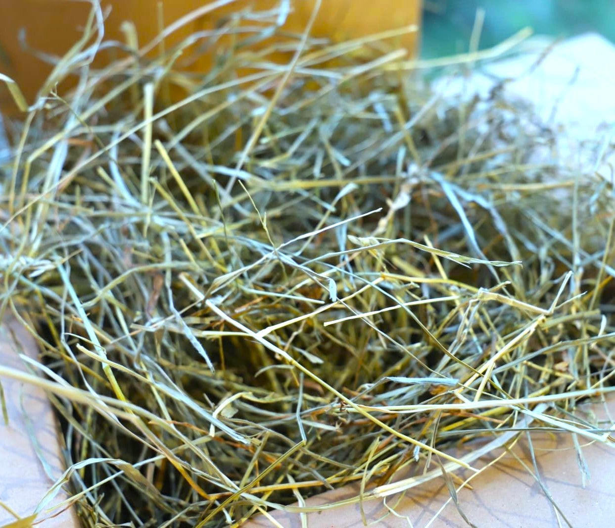Foin de Crau AOP - Qualité premium, frais, riche et naturel.